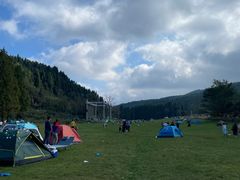 -武陵山森林公园