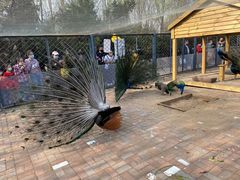 -长白岛森林公园