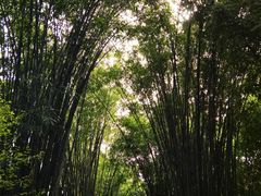 -成都杜甫草堂博物馆