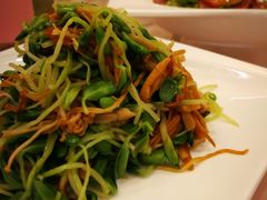 -上海安亭别墅花园酒店