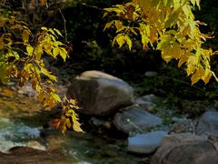 -玉渡山自然风景区