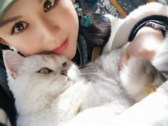 -喵屿·大理花园猫咖