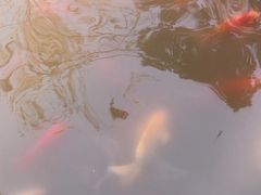 -哈根达斯(合肥万科广场店)