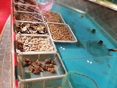 -同喜烤鸭店(光芒店)