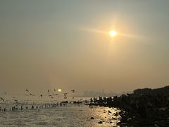 -深圳湾公园(南山区)