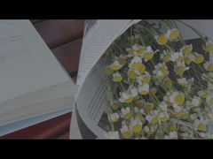-滨海公园