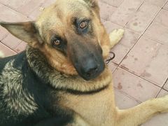 -招虎山国家森林公园-售票处