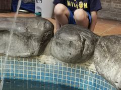 -御膳粥·牛乳粥底火锅·地道顺德菜(容桂店)