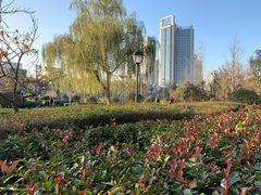 -马濠公园