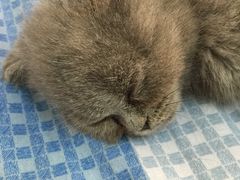 -北京博爱动物医院有限公司