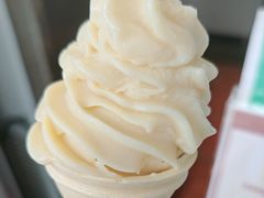 -广州素食学校·素猫豆腐(长洲码头店)