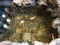 -綱元·海鲜豆捞(明州里店)