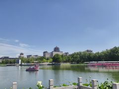 -莲花池公园