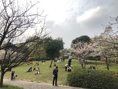 -南山植物园