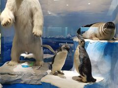 -国家自然博物馆