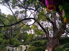 -惠山古镇·寄畅园