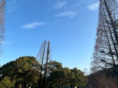 -苏州上方山国家森林公园