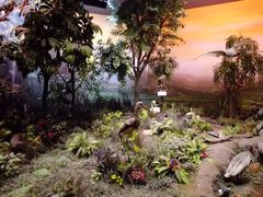 -陕西自然博物馆