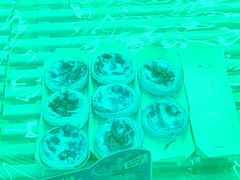 -味多美蛋糕(六里桥店)