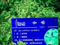 -广东花都香草世界旅游度假区