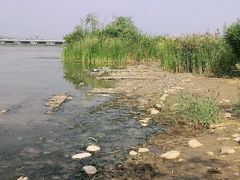 -绿堤公园