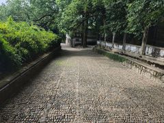 -蒋氏故居