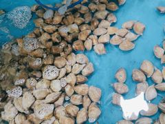 -鑫渔港海鲜本地菜·山海关浑锅(东戴河店)