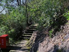 -上海佘山国家森林公园天马山园