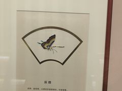 -苏州丝绸博物馆