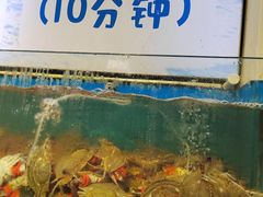 -仙螺岛海鲜自助餐厅(总店)