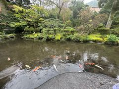 -ステーキハウス吉池