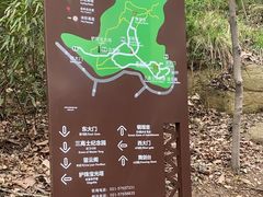 -上海佘山国家森林公园天马山园