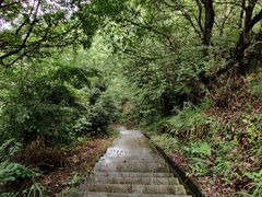 -桃花岭景区