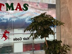 点击看大图 -MMby HairCode 芭曲发型概念店