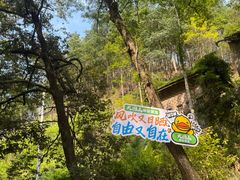 -大围山国家森林公园