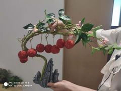 -光明招待所(邦凯科技园店)