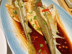 -33号大院·青岛本帮菜(五四广场店)