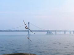 -大连星海广场音乐喷泉