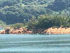 -广州市流溪河国家森林公园