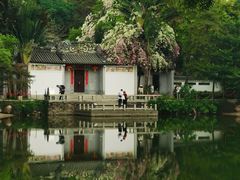 -深圳国际园林花卉博览园