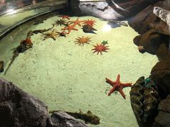 -福州罗源湾海洋世界旅游区