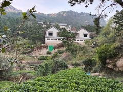 -青岛崂山太清宫