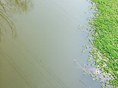 -西湖风景区-江洋畈生态公园
