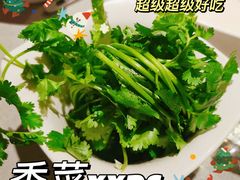 -海底捞火锅(汇金星力城店)