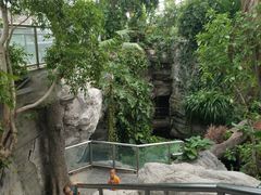-北京植物园-展览温室