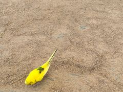 -珠海海泉湾神秘岛亲子乐园