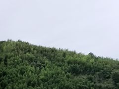 -雅鲁激流探险漂流