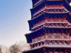 -北京世界公园