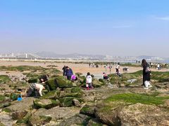 -巧克力渔家.小船海鲜胶东菜(万平口店)