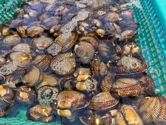 -集品鲜湾·蒸汽海鲜自助料理(青岛银座和谐广场店)